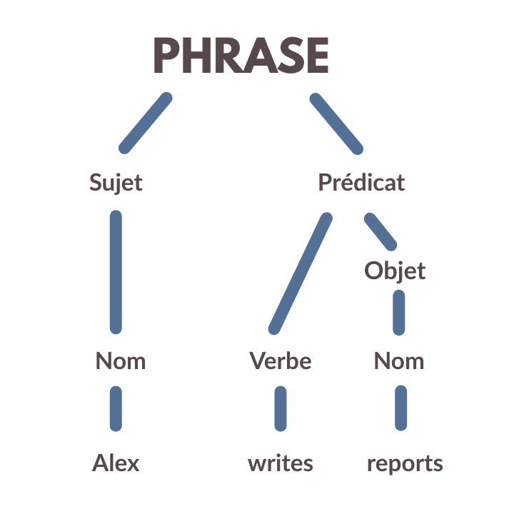schéma structure phrase anglaise